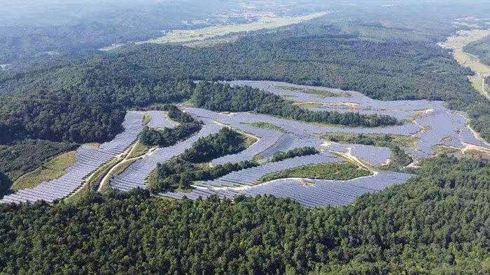 利来w66(中国区)_来利国际旗舰