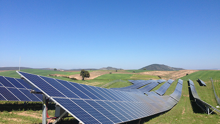 利来w66(中国区)_来利国际旗舰