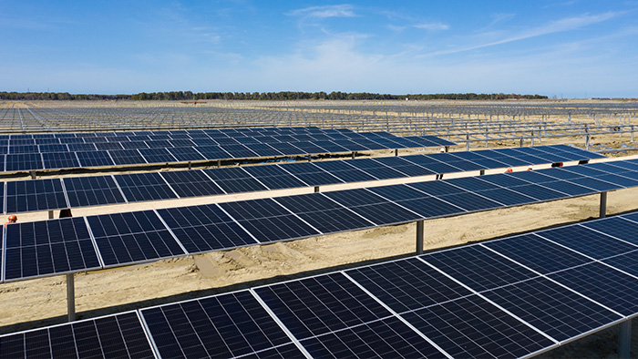 利来w66(中国区)_来利国际旗舰