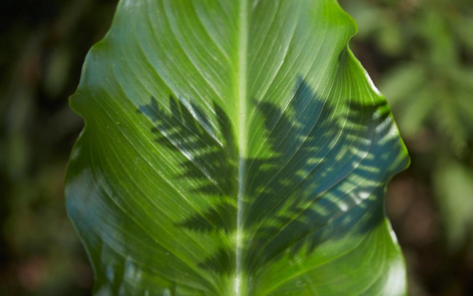 利来w66(中国区)_来利国际旗舰