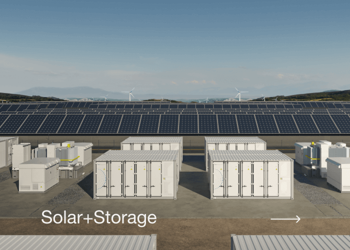 利来w66(中国区)_来利国际旗舰
